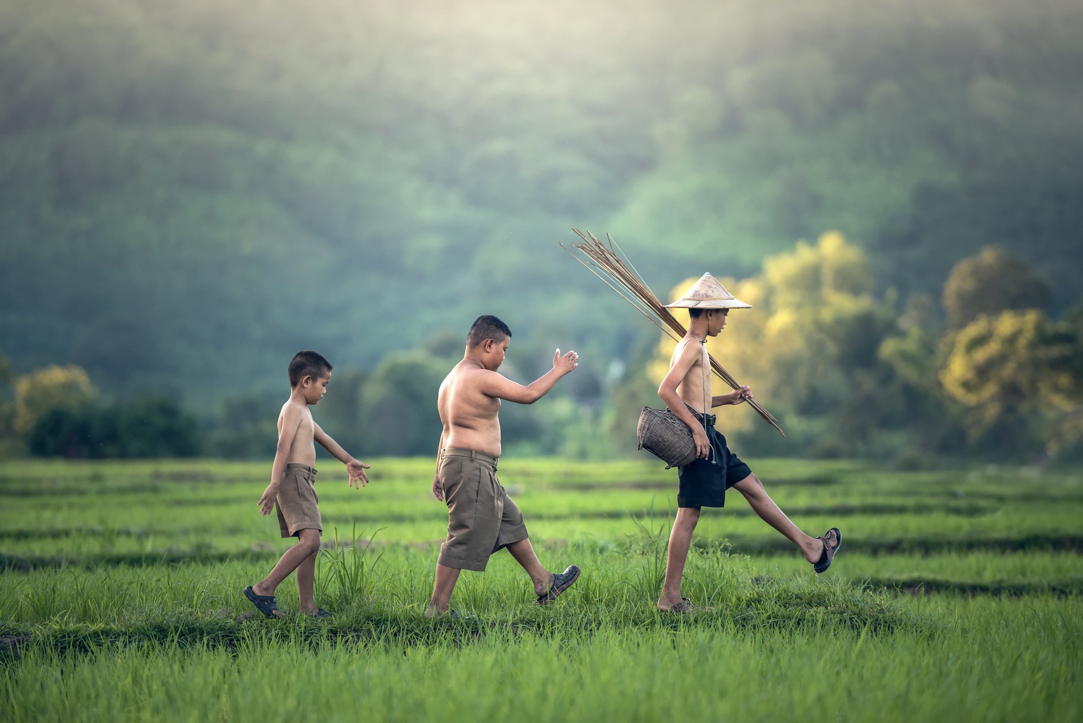 Children Walking in the Rice Paddies